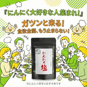 【匠のスパイス】にんにく塩 100g袋×2袋|...の詳細画像2
