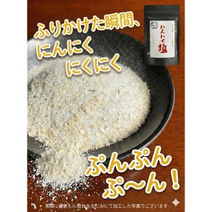 【匠のスパイス】にんにく塩 100g袋×2袋|...の詳細画像4