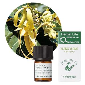 生活の木 リツエアクベバ精油 3ml 天然精油 エッセンシャルオイル