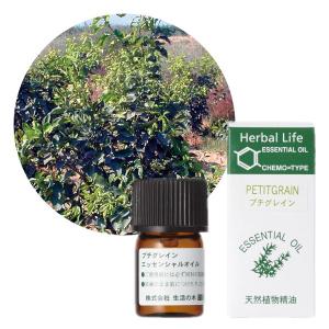 生活の木 プチグレイン・ビターオレンジ精油 3ml 天然精油 エッセンシャルオイル アロマ Petit grain｜takumis