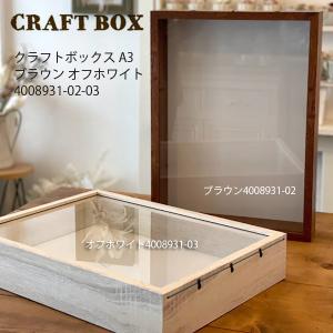 丸和貿易 クラフトボックス A3 ブラウン オフホワイト 4008931-02 03  