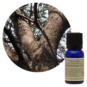 フレーバーライフ エッセンシャルオイル 精油 グレープフルーツ 500ml フレーバーライフ】グレープフルーツ｜エッセンシャルオイル（精油