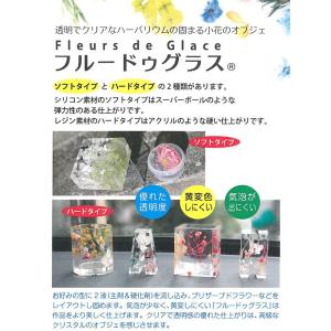 固めるハーバリウム 2液 フルードゥグラス ソ...の詳細画像1