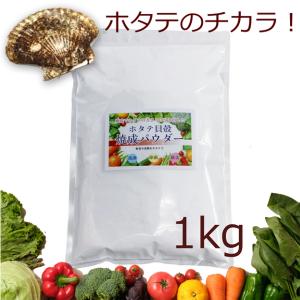 ホタテ貝殻焼成パウダー 1kg 食品用 野菜洗い...の商品画像