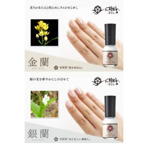 京の胡粉ネイル ラメ入り 10ml 自然派マニ...の詳細画像4