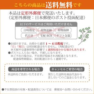 京の胡粉ネイル ラメ入り 10ml 自然派マニ...の詳細画像5