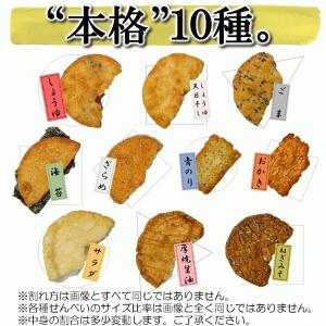 お好みわれせん (ダンボール入/ 2kg ) ...の詳細画像5