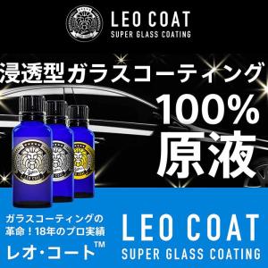 LEO COAT レオコート ガラスコーティングセット 車 バイク コーティング 送料無料