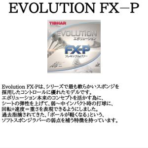 エボリューションFX-P｜takusho