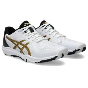 ASICS（アシックス） 卓球シューズ メンズ レディース HYPERSURV 2