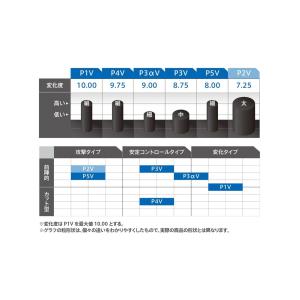 カールP1Vの詳細画像1