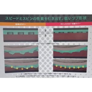 ザイア03 【ZYRE03】正規品 卓球ラバーの詳細画像3