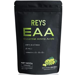 レイズ REYS 600g EAA 山澤礼明