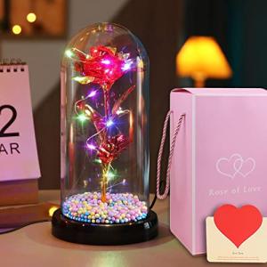 YIBAIKE フラワーギフト 母の日 ギフト ガラスドーム