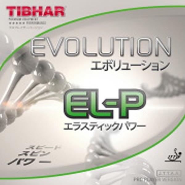 卓球 ラバー 初心者 中級者 上級者 卓球ラバー TIBHAR ティバー Evolution EL-...