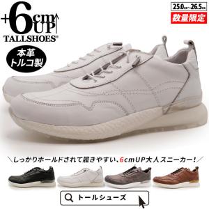 シークレットシューズ メンズ スニーカー 本革 6cm 厚底 3E カジュアル