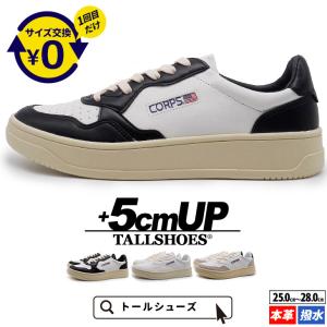 HEAD（ヘッド） スノーシューズ オペレーター ボア OPERATOR BOA (GREY