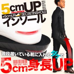 インソール シークレット 大きめの中敷き トールシューズ 背が高くなる 身長アップ 5cm ヒールアップ 身長up シークレットインソール インヒール 厚底インソール