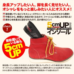 インソール シークレット 大きめの中敷き トー...の詳細画像1