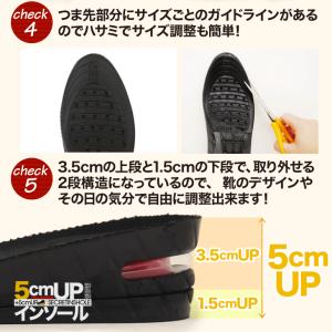 インソール シークレット 大きめの中敷き トー...の詳細画像3