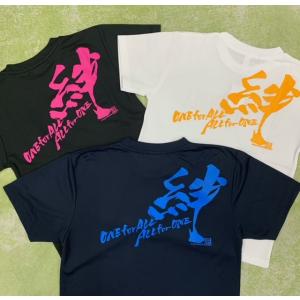 在庫限り!ソフトボール〜塁球撫子魂ドライTシャツの詳細画像1