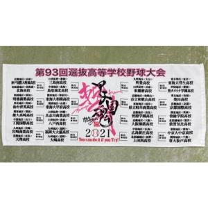 メール便対応可】お一人様2枚まで 在庫限り！第93回選抜高等学校野球