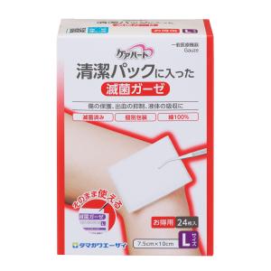 GAUZE ガーゼ 消毒GIG100回記念キーホルダー　未使用品 ハードコア ケアハート 滅菌ガーゼ 個包装 10cmx7.5cm L 8枚入り タマガワエーザイ
