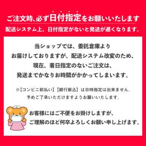 フェミルテ 骨盤底筋持ち上げサポーター 1枚入...の詳細画像1