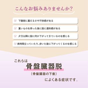 フェミルテ 骨盤底筋持ち上げサポーター 1枚入...の詳細画像3