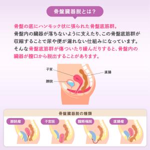 フェミルテ 骨盤底筋持ち上げサポーター 1枚入...の詳細画像4