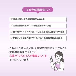 フェミルテ 骨盤底筋持ち上げサポーター 1枚入...の詳細画像5