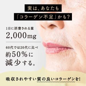 コラーゲン こなゆきコラーゲン 100000m...の詳細画像4
