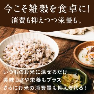 三十雑穀 国産 300g 30雑穀米 1食 3...の詳細画像4