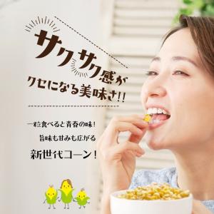 モロコッチ 4袋セット 塩 バーベキュー 醤油...の詳細画像5