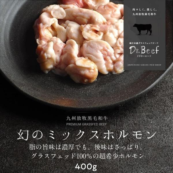 Dr.Beef ホルモンミックス 400g(200g×2) アカセン 小腸 大腸 ドクタービーフ D...