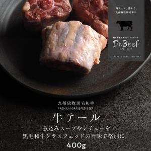 Dr.Beef テール 400g ドクタービーフ Dr.ビーフ 純日本産 グラスフェッドビーフ 国産 九州 黒毛和牛 赤身 牛肉 焼き肉 BBQ 煮込み お歳暮 ギフト｜tamachanshop