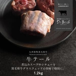 Dr.Beef テール 1.2kg(400g×3) ドクタービーフ Dr.ビーフ 純日本産 グラスフェッドビーフ 国産 九州 黒毛和牛 赤身 牛肉 BBQ 煮込み お歳暮 ギフト 送料無料｜tamachanshop