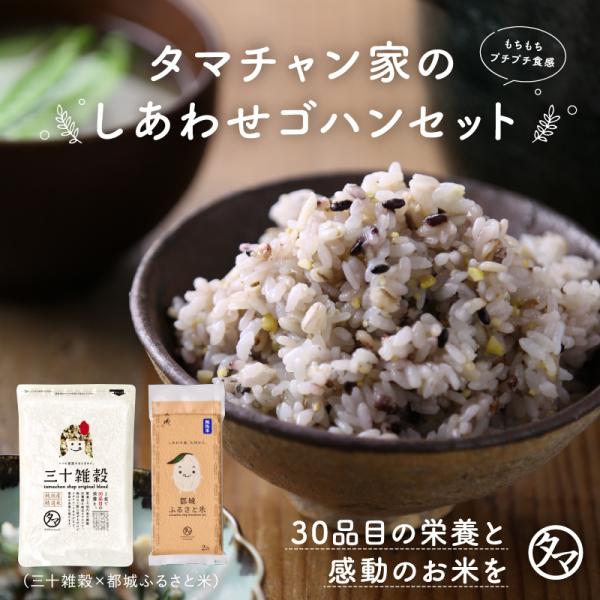 三十雑穀 ふるさと米 しあわせゴハンセット 国産 ひのひかり 無洗米 30雑穀米 雑穀 雑穀米 1食...