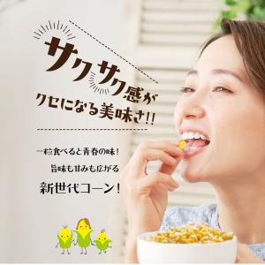 モロコッチ 3袋セット とうもろこし ヘルシー...の詳細画像4