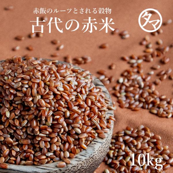赤米 10kg (250g×40袋) 国産 雑穀 雑穀米 古代米 お米 赤飯 あか米 あかまい 業務...