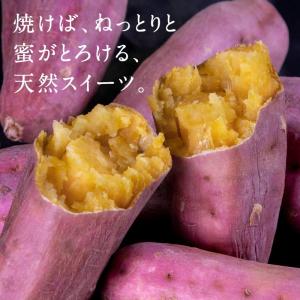 訳あり 安納芋 3kg 蜜芋 さつまいも 野菜...の詳細画像1