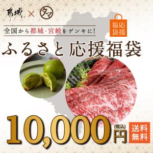 ふるさと応援福袋 10,000円セット 冷凍便 宮崎県産