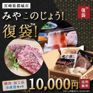 みやこのじょう！復袋 （精肉・加工品セット） 宮崎牛
