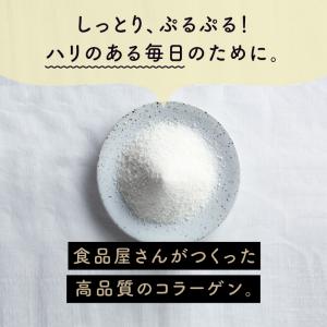 コラーゲン パウダー 粉末 ペプチド こなゆき...の詳細画像4