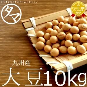 タマチャンショップ 大豆 10kg 九州産（一等級ダイズ） 業務用 乾燥