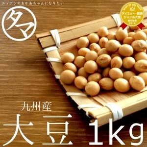 大豆 1kg 九州産（一等級ダイズ） 黄金地大豆 令和3年産 送料無料