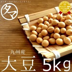大豆 5kg 九州産（一等級ダイズ） 黄金地大豆 令和3年産 業務用 送料無料｜tamachanshop