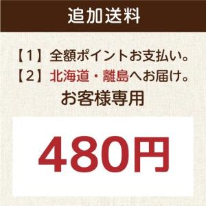 配送オプション 北海道・離島 追加送料480円の商品画像