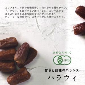 デーツ族バイキング 200g 有機JAS認定 ...の詳細画像5