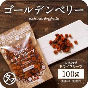 有機ゴールデンベリー 100g オーガニック しあわせ ドライフルーツ フルーツ スーパーフード インカベリー ゴールデンフィサリス ポイント消化 お試し